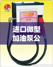 进口微型加油泵公司排行榜TOP，行业领先企业一览