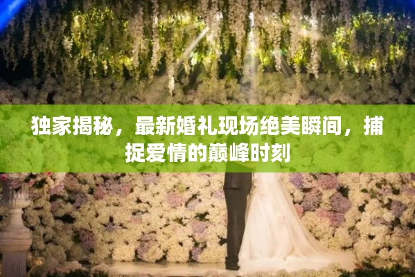 独家揭秘，最新婚礼现场绝美瞬间，捕捉爱情的巅峰时刻