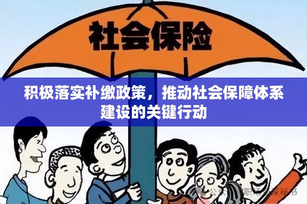 积极落实补缴政策，推动社会保障体系建设的关键行动
